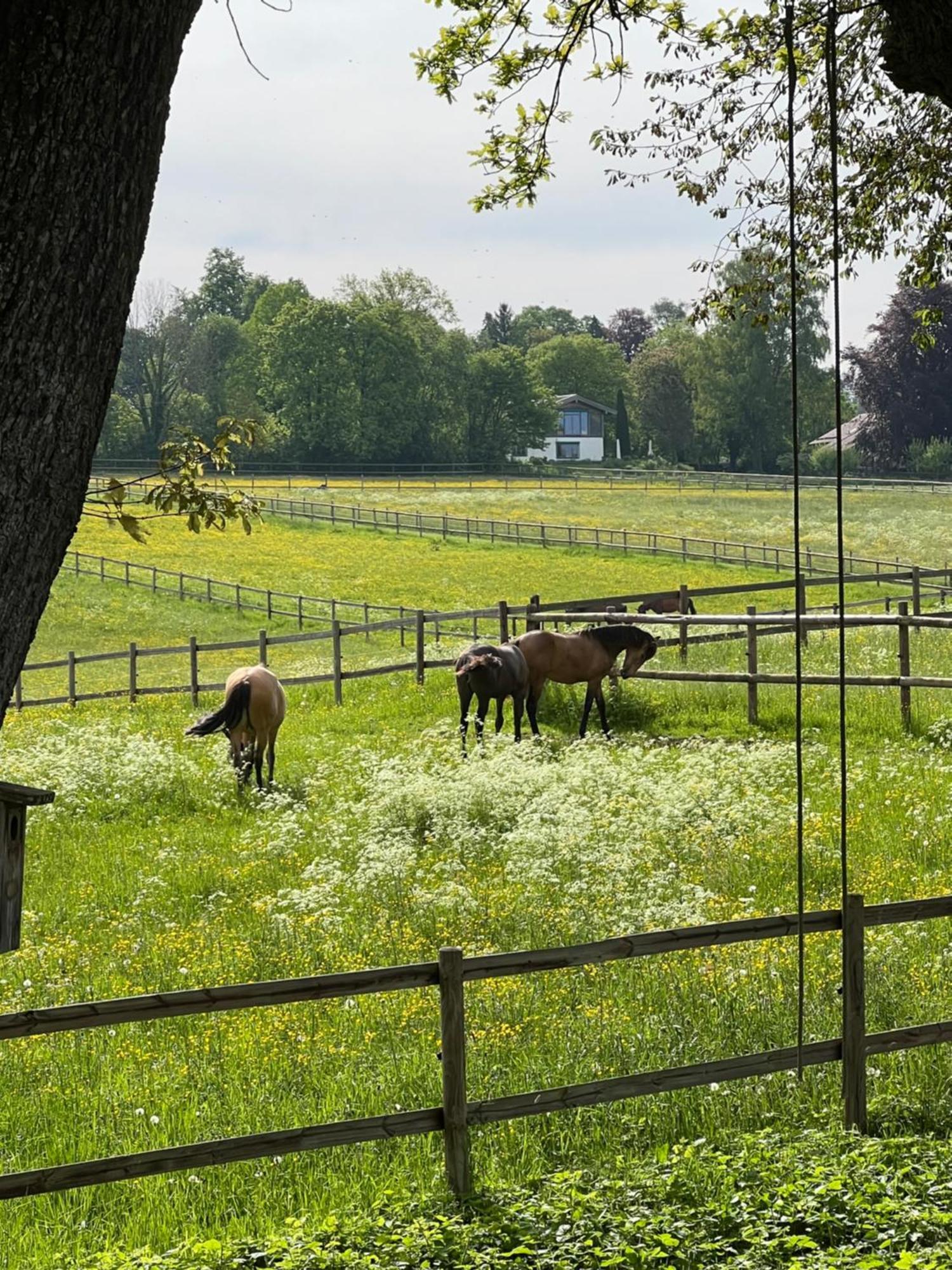 Herrenhaus - Starnberger See - Ammerland Мюнзинг Экстерьер фото